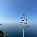 Boni A World Of Magic * Dubrovnik
