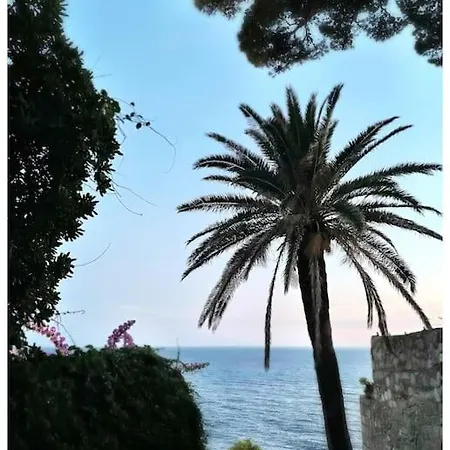 Boni A World Of Magic *