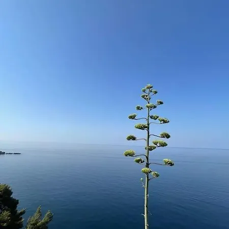 Boni A World Of Magic * Dubrovnik