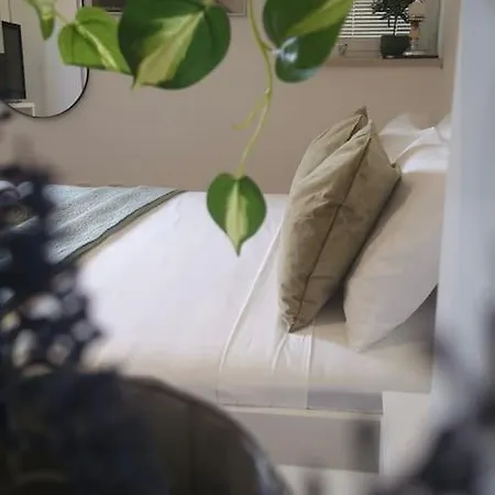 Boni A World Of Magic