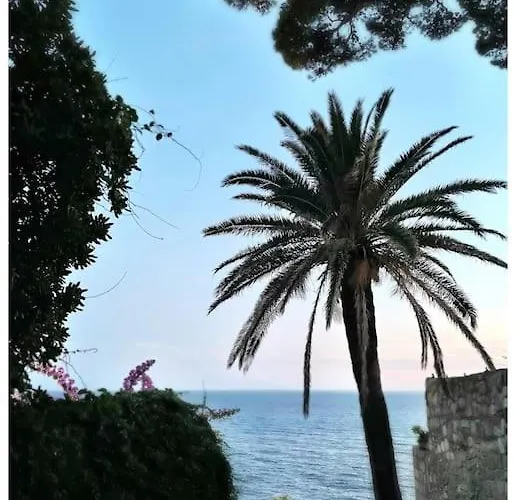 Boni A World Of Magic *