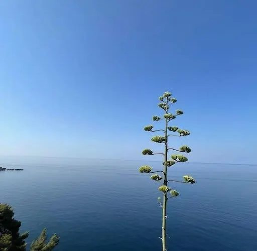 Boni A World Of Magic * Dubrovnik